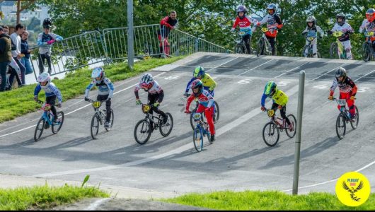 WhatsApp Image 2026-03-10 at 08.23.15whfdh